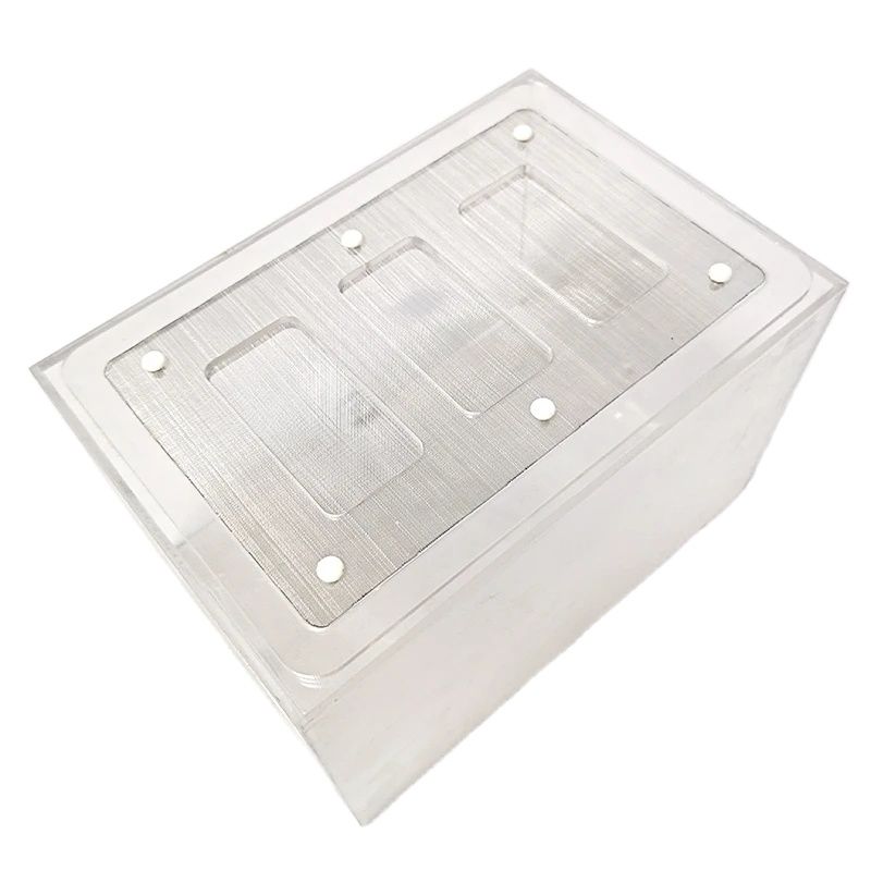 Begonia Rex - Acryl fertig nahtlose Ameisennest Ameisenkönigin Landschaftsbau