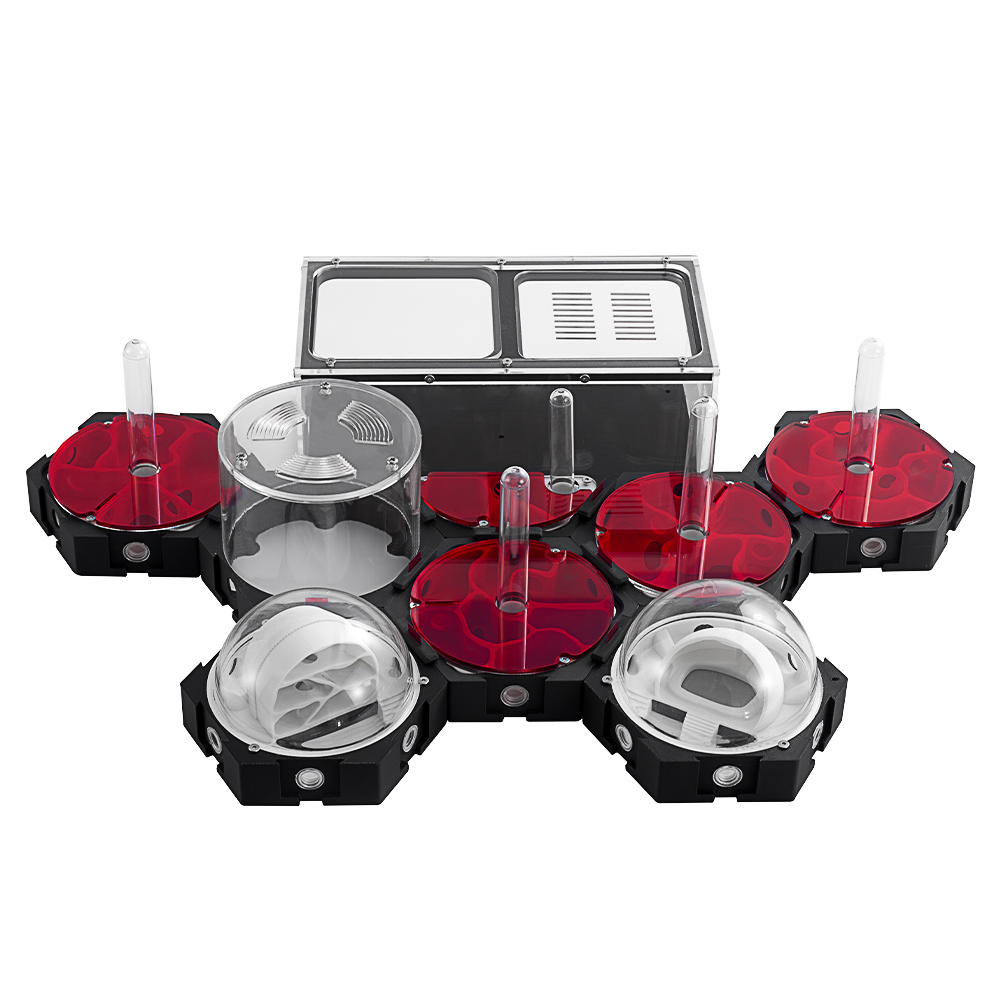 Begonia Rex - 3D-Druck Ameisenfarm Stufenlos erweiterbar Ameisennest Insektenbox