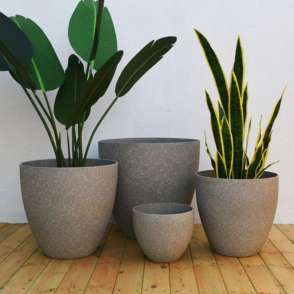 Aloe Vera Pot - Mattierte Imitation Stein Bonsai Blumentopf Balkon