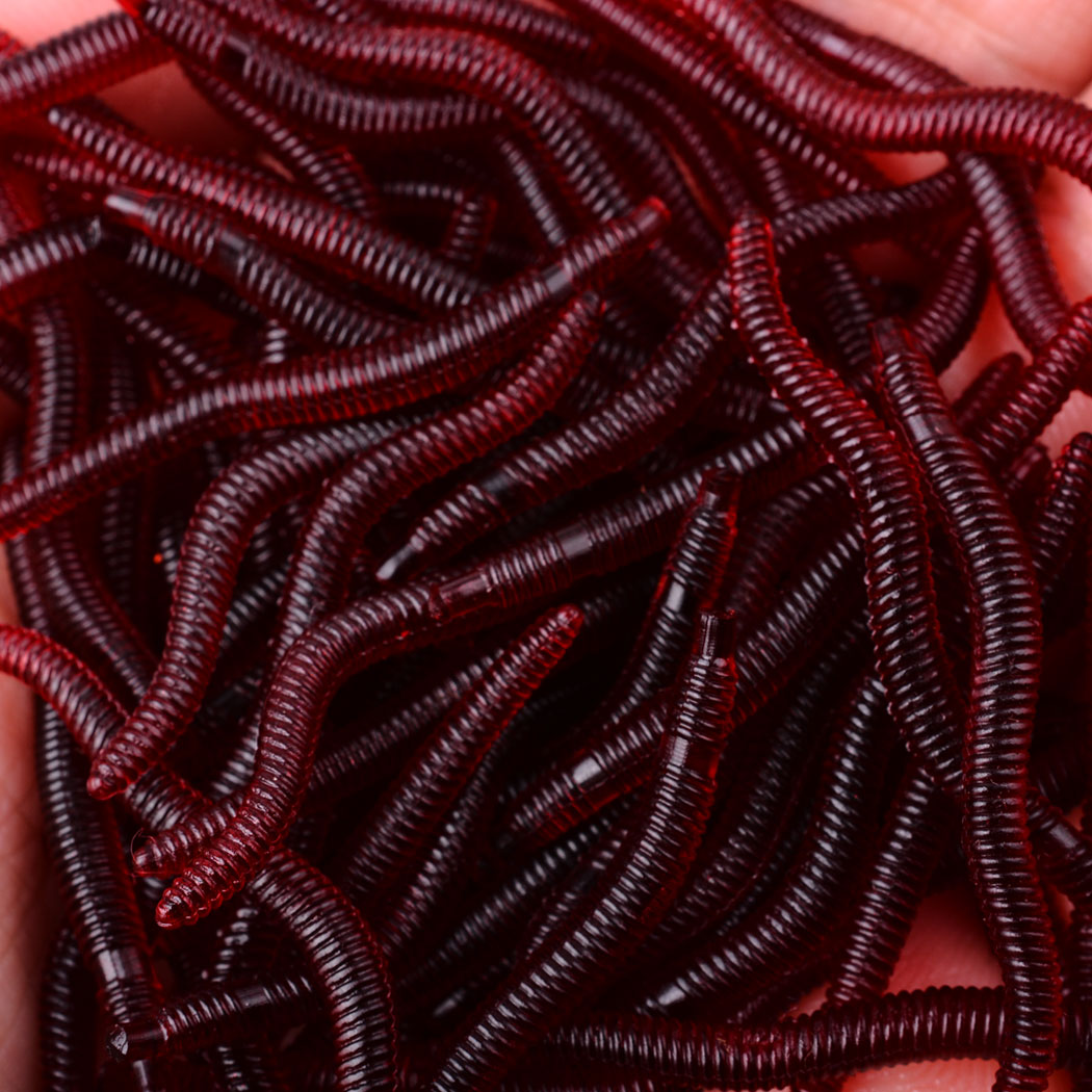 Aglaonema Red - 50 stücke Lebensechte Roten Wurm Weichen