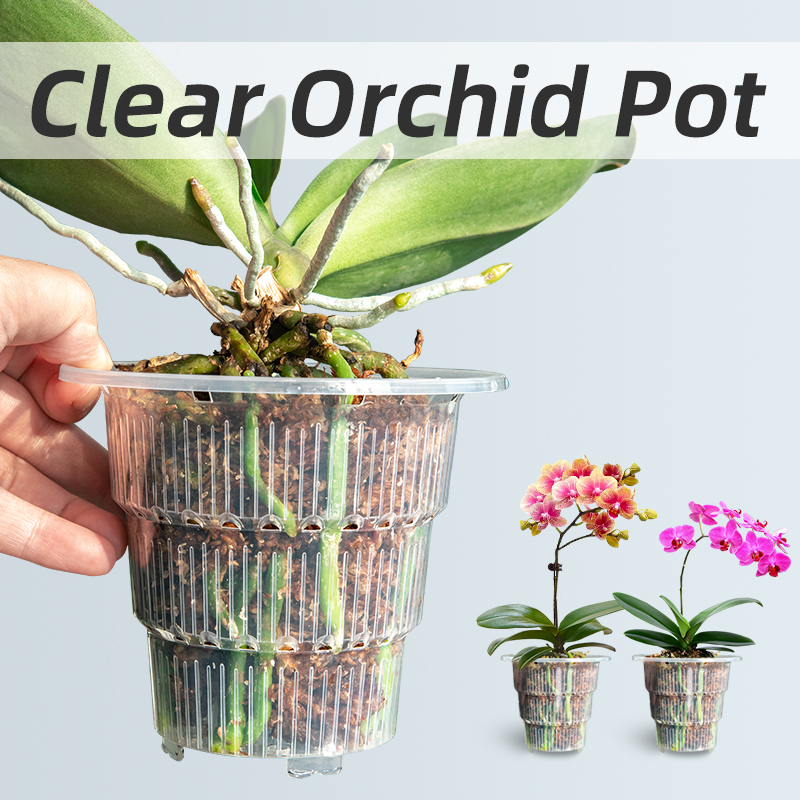 Aloe Vera Pot - Meshpot klare Plastik Orchideen töpfe mit