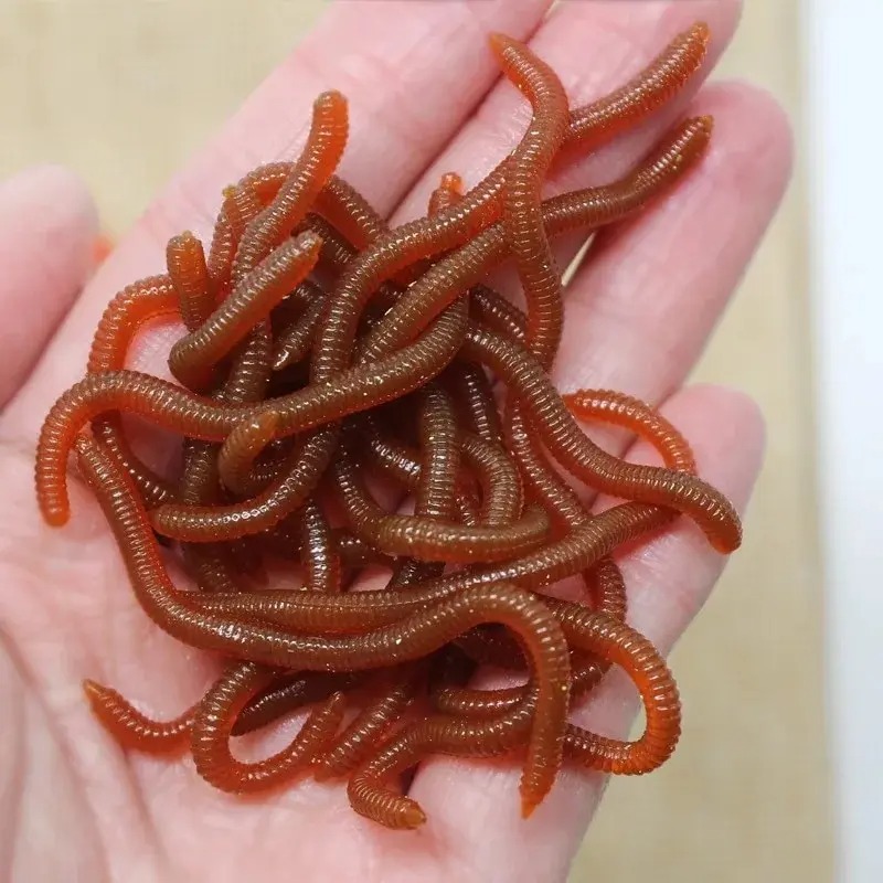 Aglaonema Red - Lebensechte Fischgeruch-Simulationsköder: Rote Weichköder, Künstliche Angelköder,