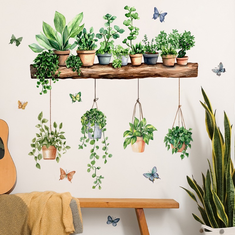 Echeveria Succulent - 3D Wandtattoos mit grünen Pflanzen im