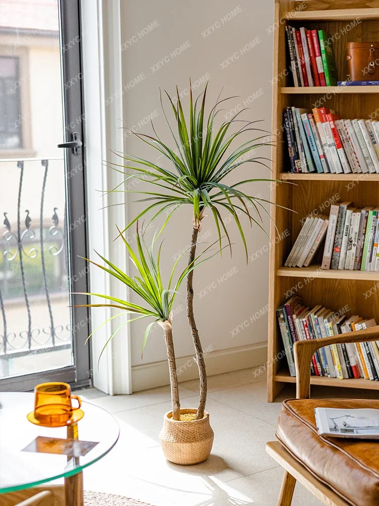 Dracaena Marginata - Licht Luxus Simulation Grüne Pflanze Agave