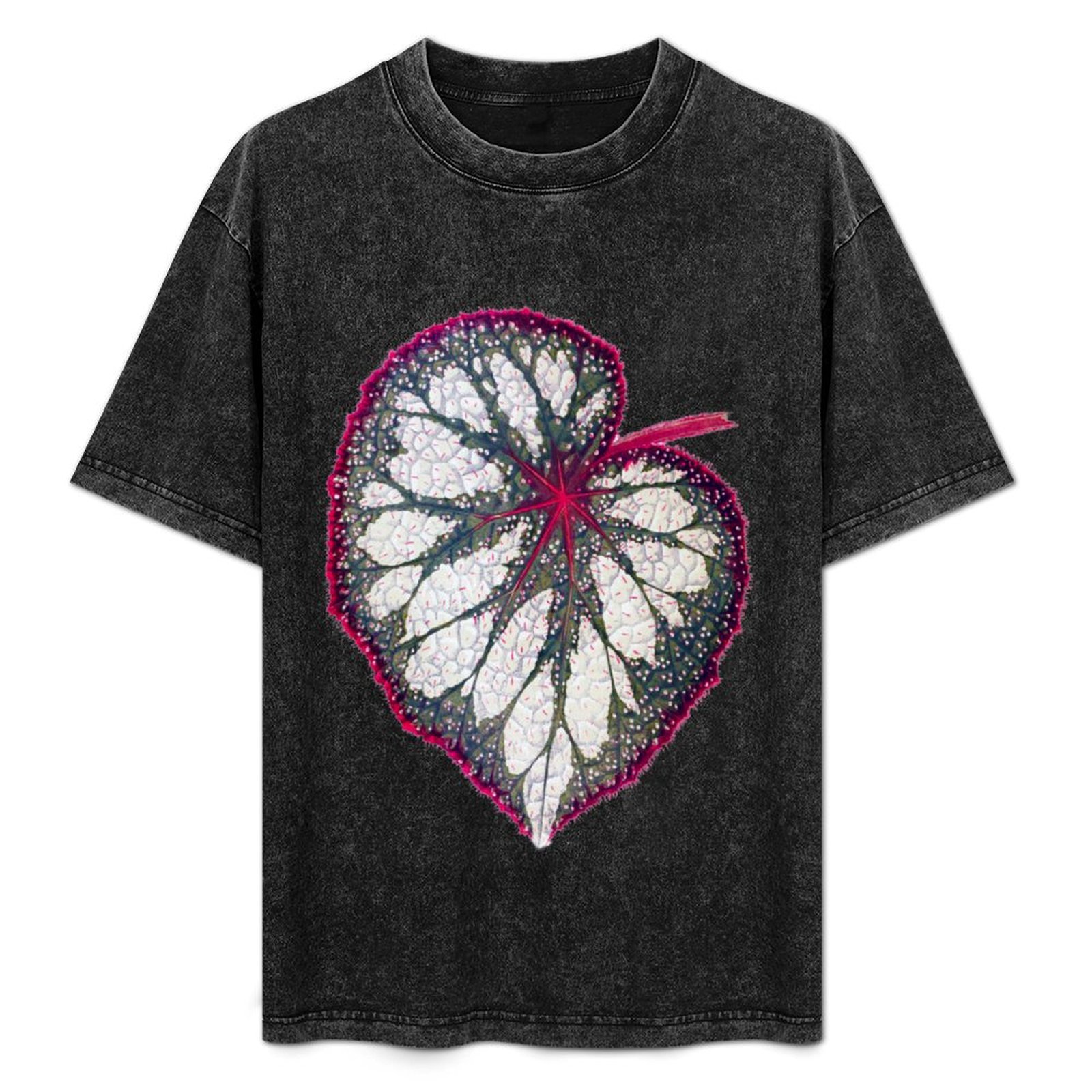 Begonia Rex - Begonia rex T-Shirt Einfaches T-Shirt für