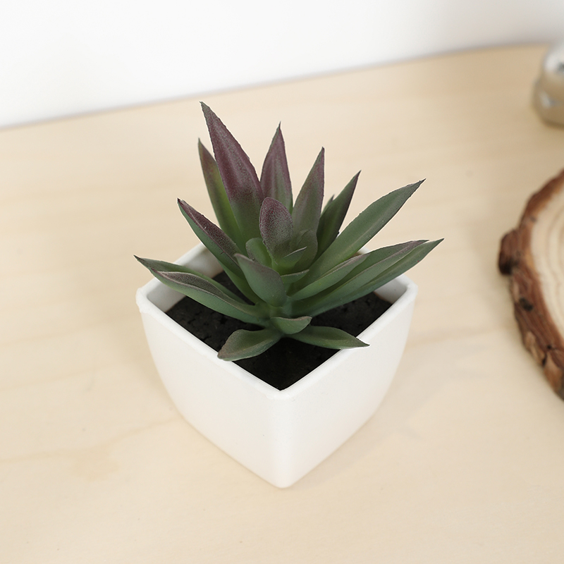 Echeveria Succulent - Mini künstliche Sukkulenten-Feentasse, kleine Topfpflanze, weiße