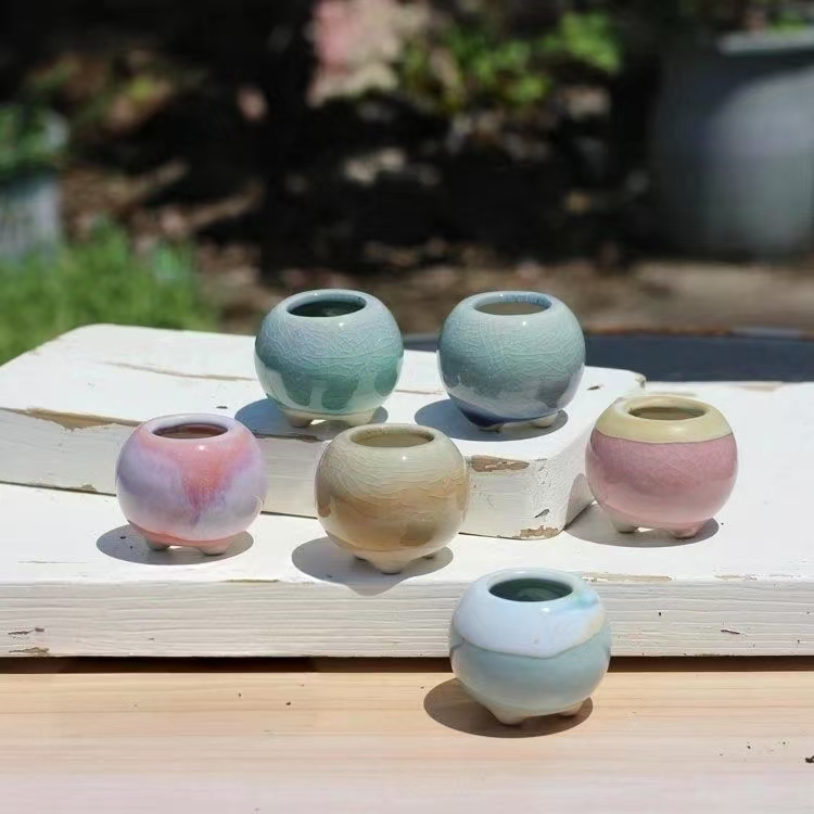 Echeveria Succulent - 6Pcs Mini Blumentopf Sukkulenten Kleine Sukkulente