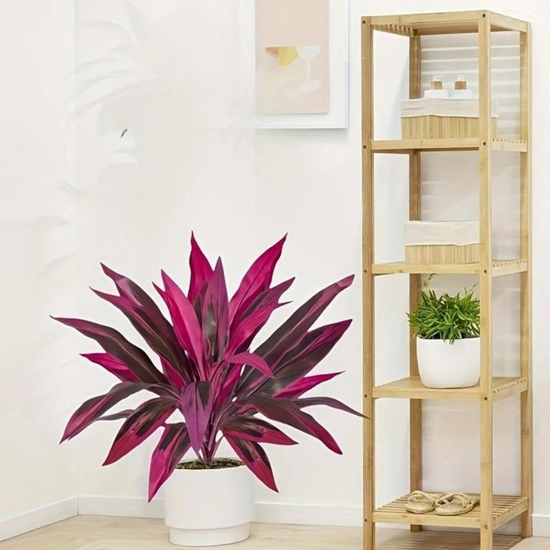 60cm Tall Artificial Dracaena  – Dracaena Marginata Bewertung und Preis