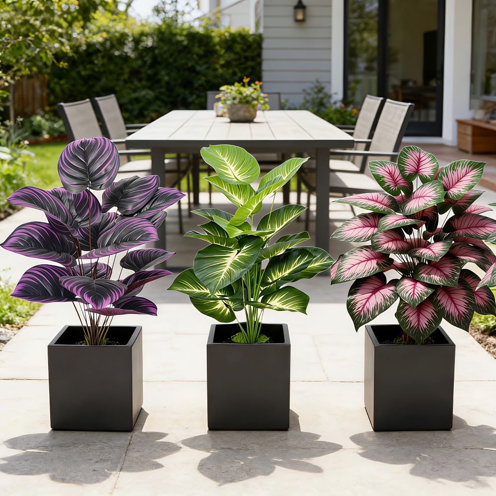 3-teiliges Set mit verschieden – Ficus Lyrata Tree Bewertung und Preis