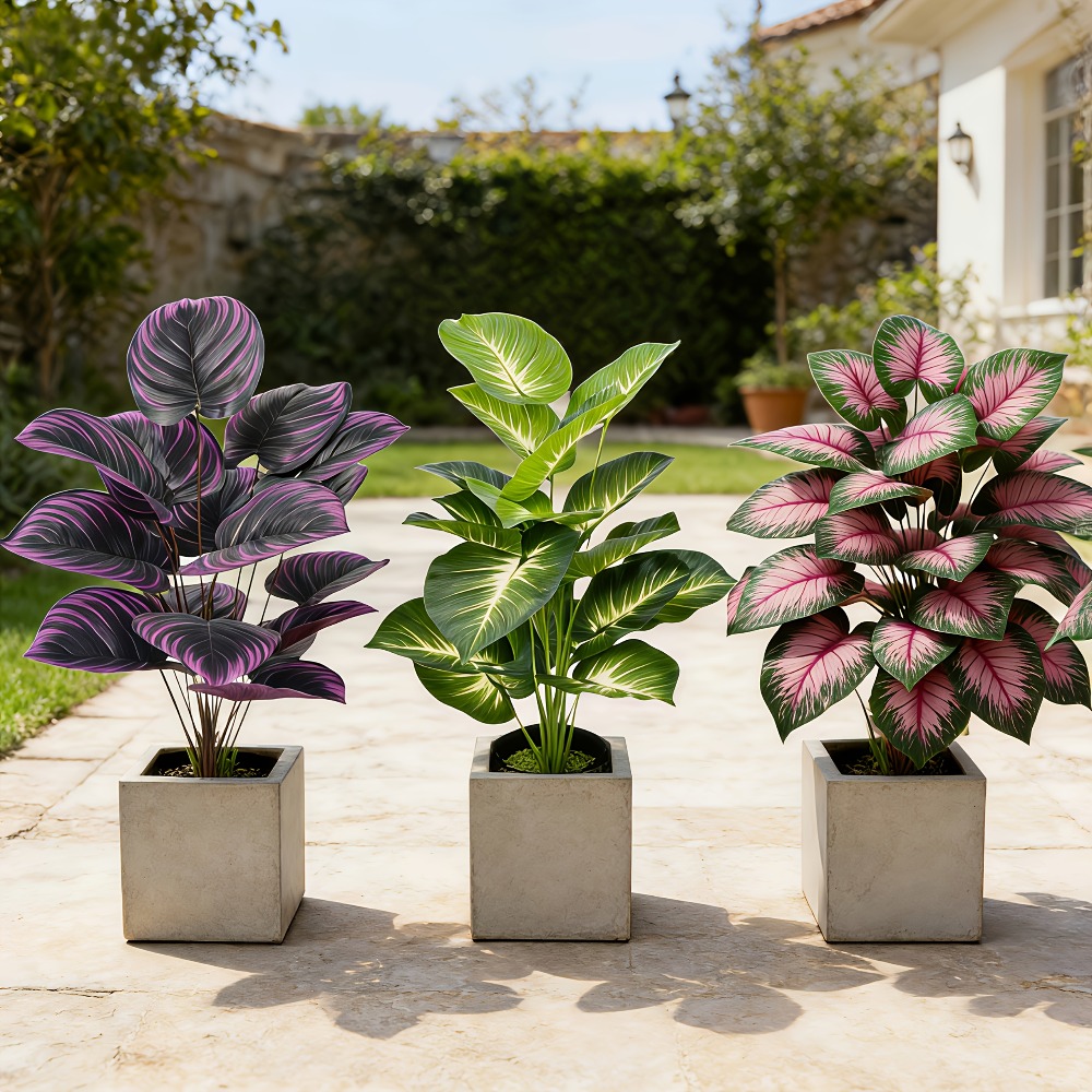 3-teiliges Set mit verschieden – Ficus Lyrata Tree Bewertung und Preis