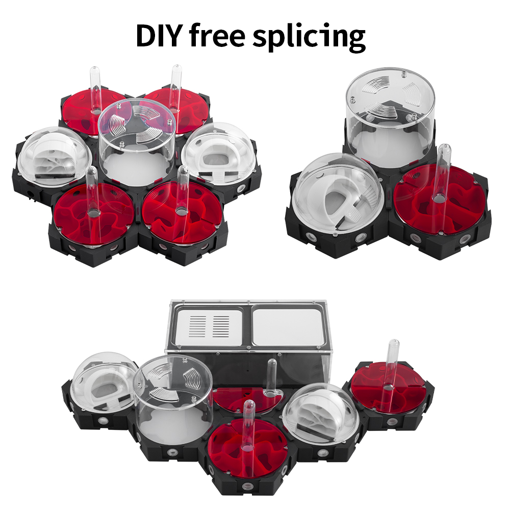 3D-Druck Ameisenfarm Stufenlos – Begonia Rex Bewertung und Preis
