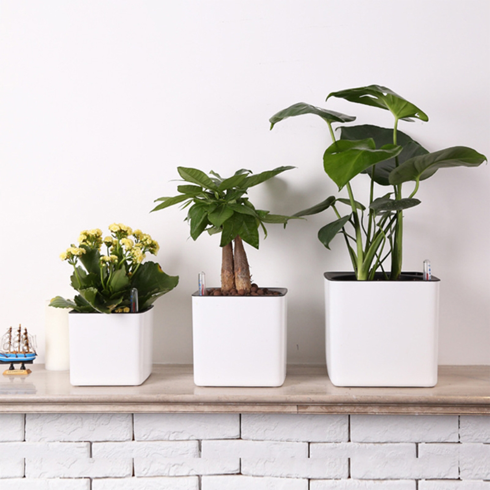 Automatische Selbst Bewässerun – Aloe Vera Pot Bewertung und Preis