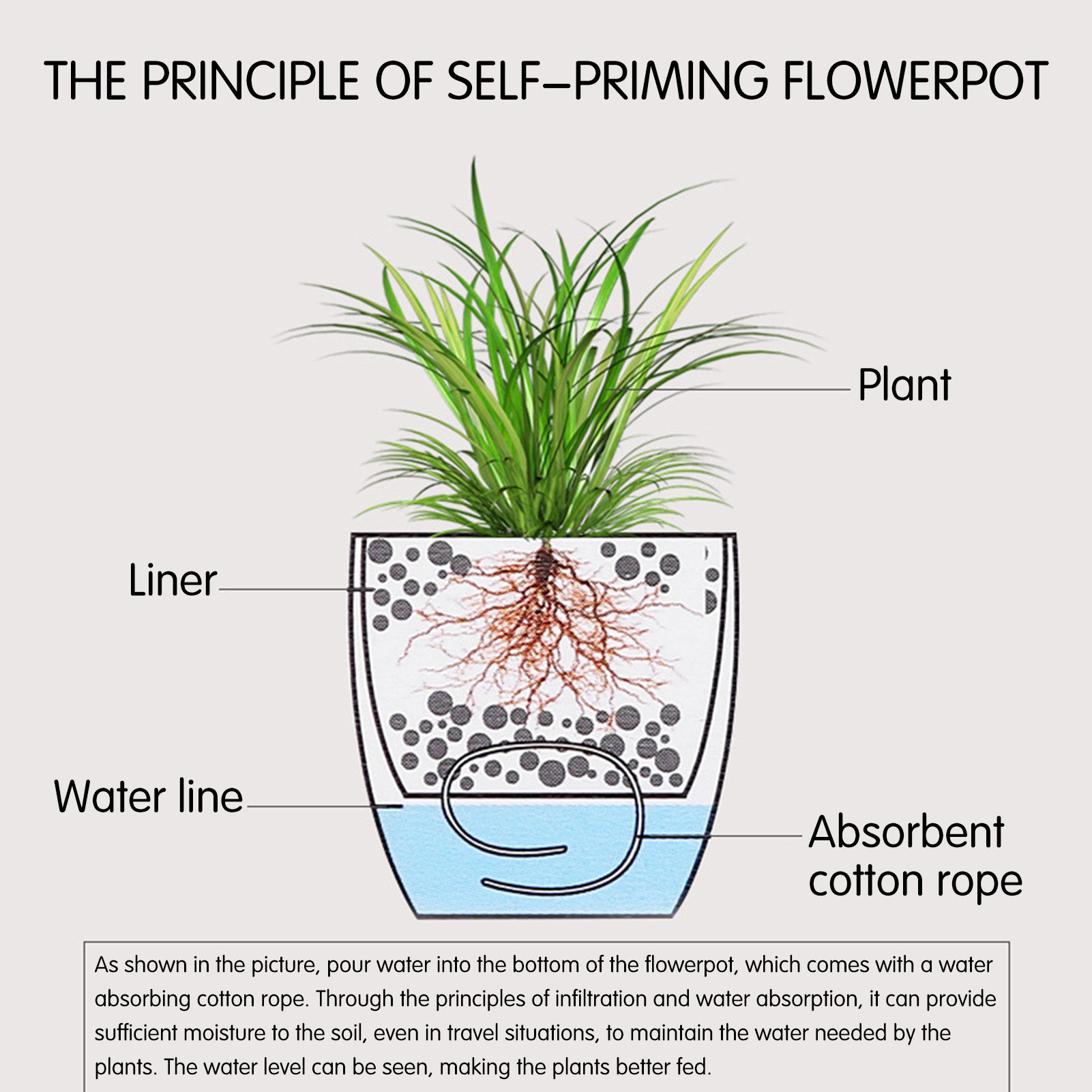 Automatische Selbst Bewässerun – Aloe Vera Pot Bewertung und Preis