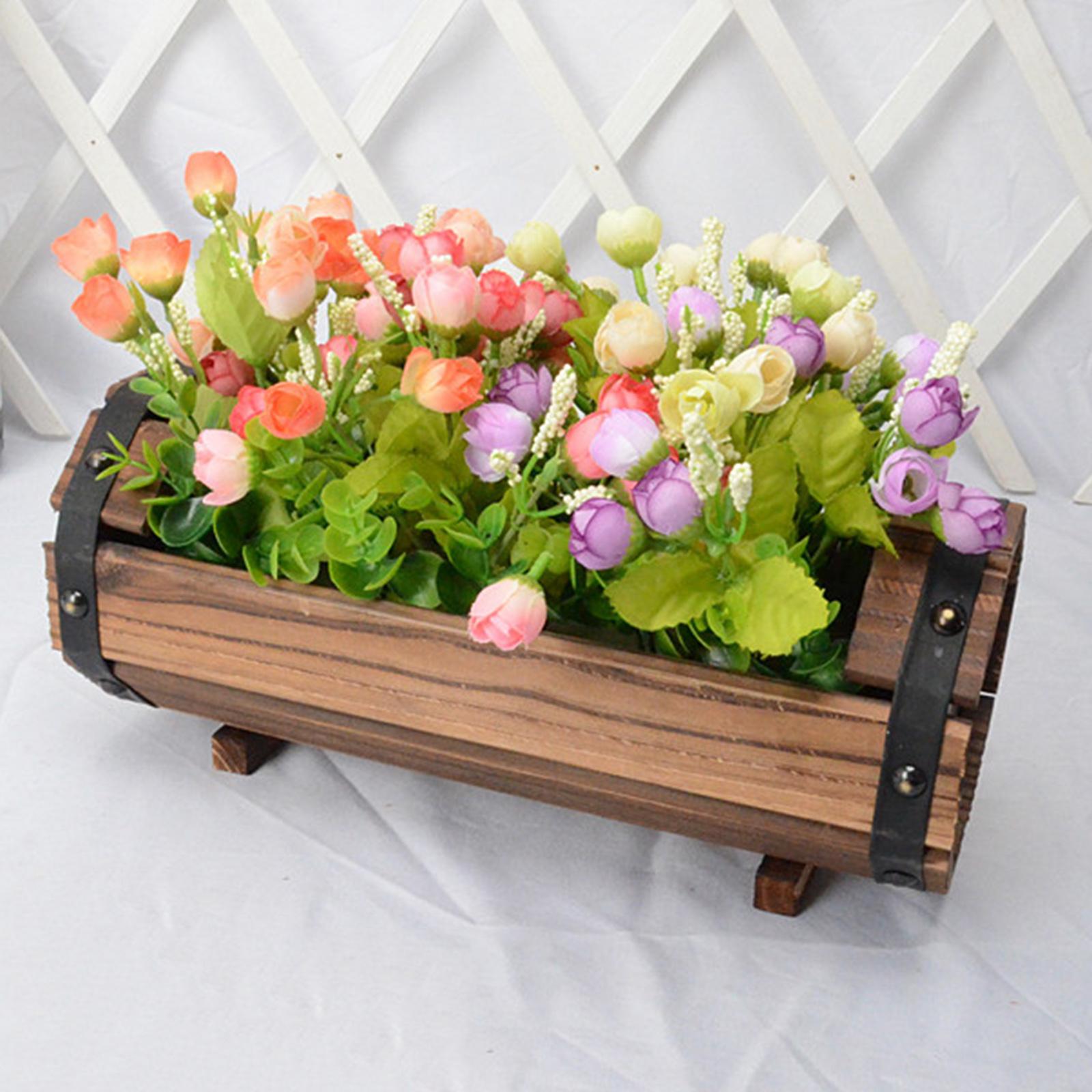 Antiker Dekorativer Blumentopf – Echeveria Succulent Bewertung und Preis