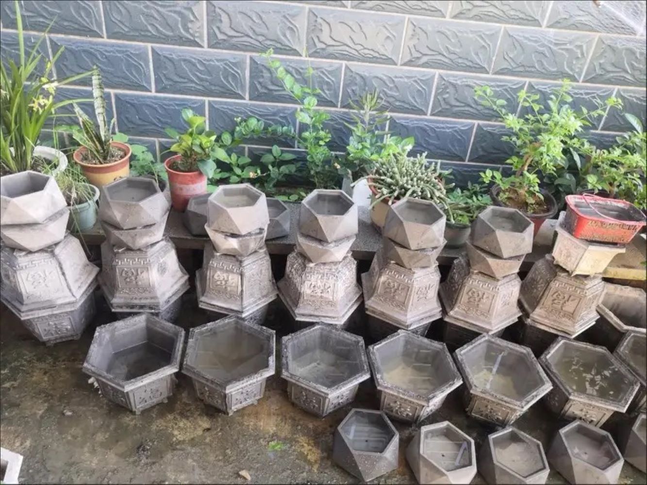 Kunststoff-Sukkulenten-Pflanzg – Echeveria Succulent Bewertung und Preis