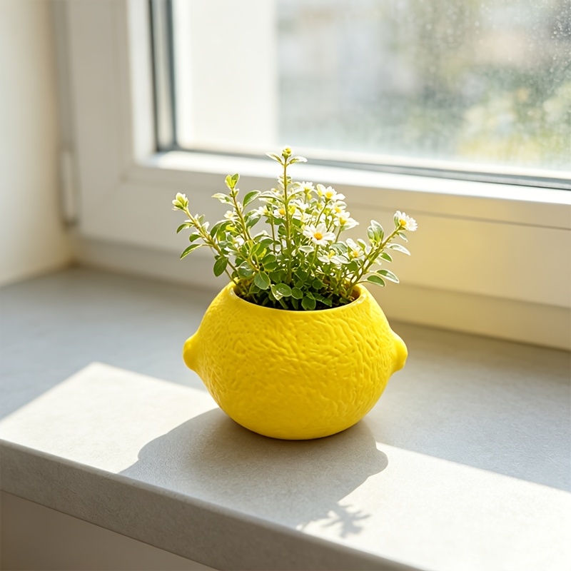 Zitronenförmiger dekorativer B – Echeveria Succulent Bewertung und Preis