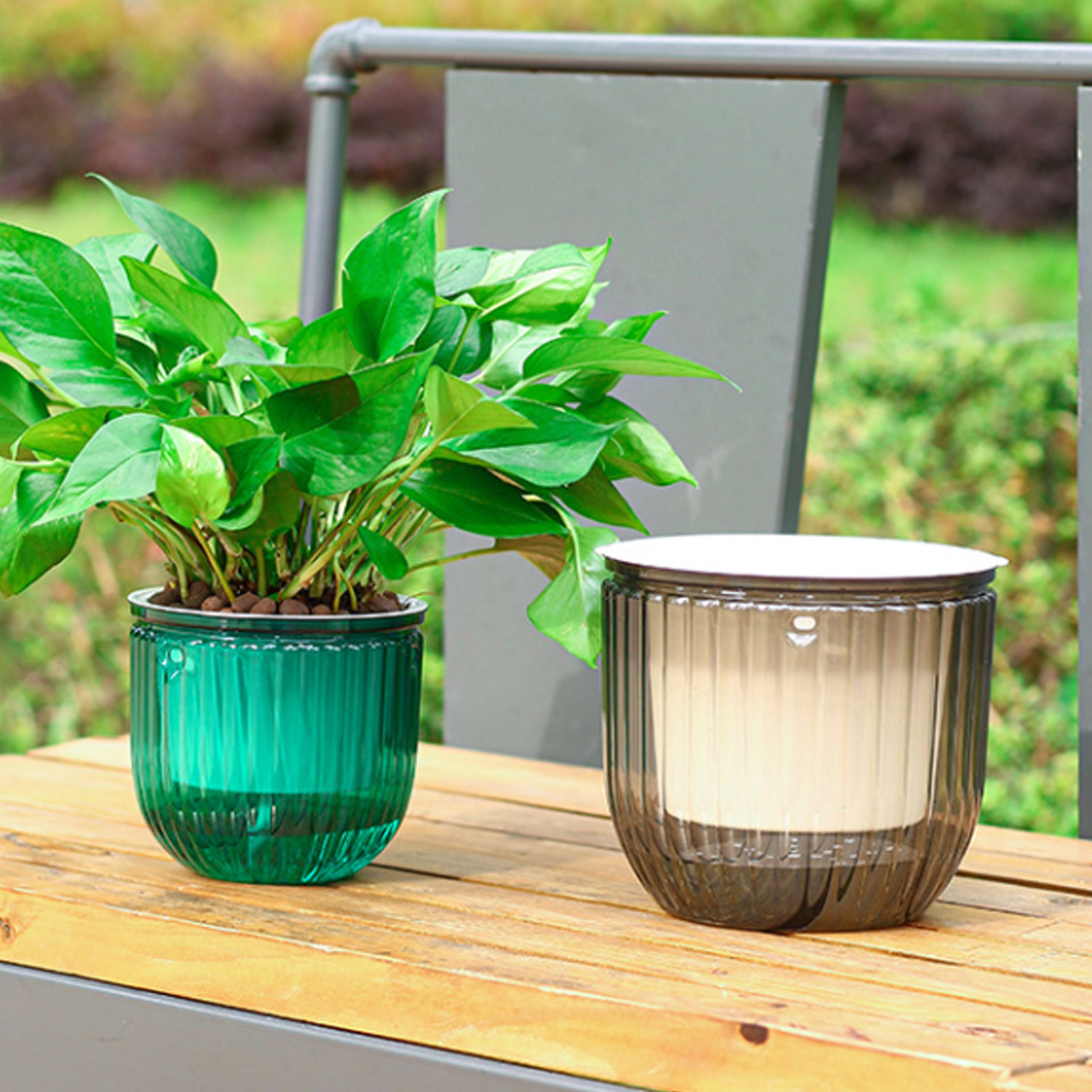 Automatische selbstbewässernde – Spider Plant Hanging Bewertung und Preis