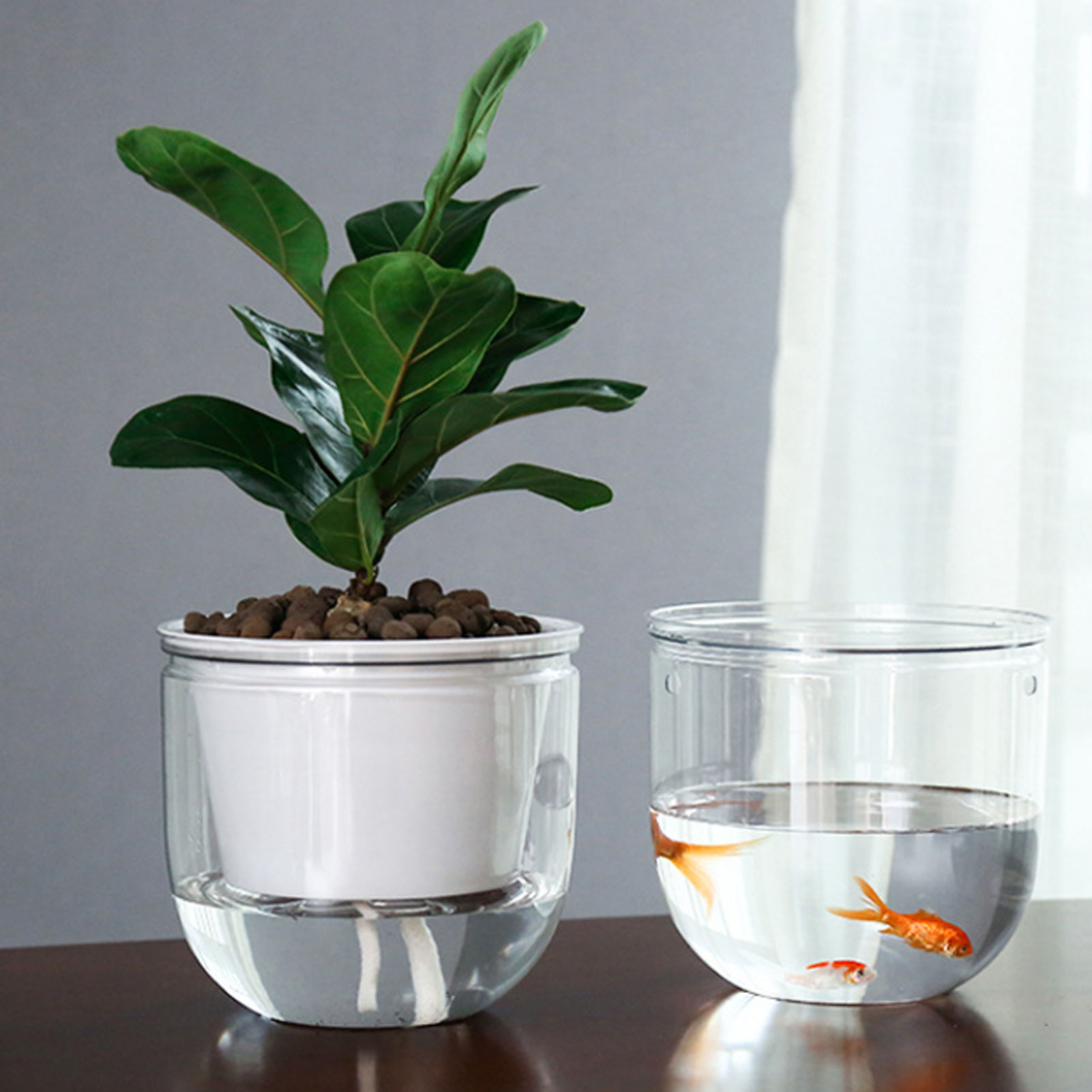 Automatische selbstbewässernde – Spider Plant Hanging Bewertung und Preis