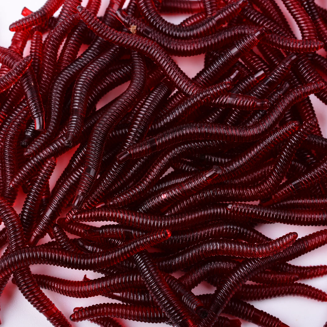 50 stücke Lebensechte Roten Wu – Aglaonema Red Bewertung und Preis