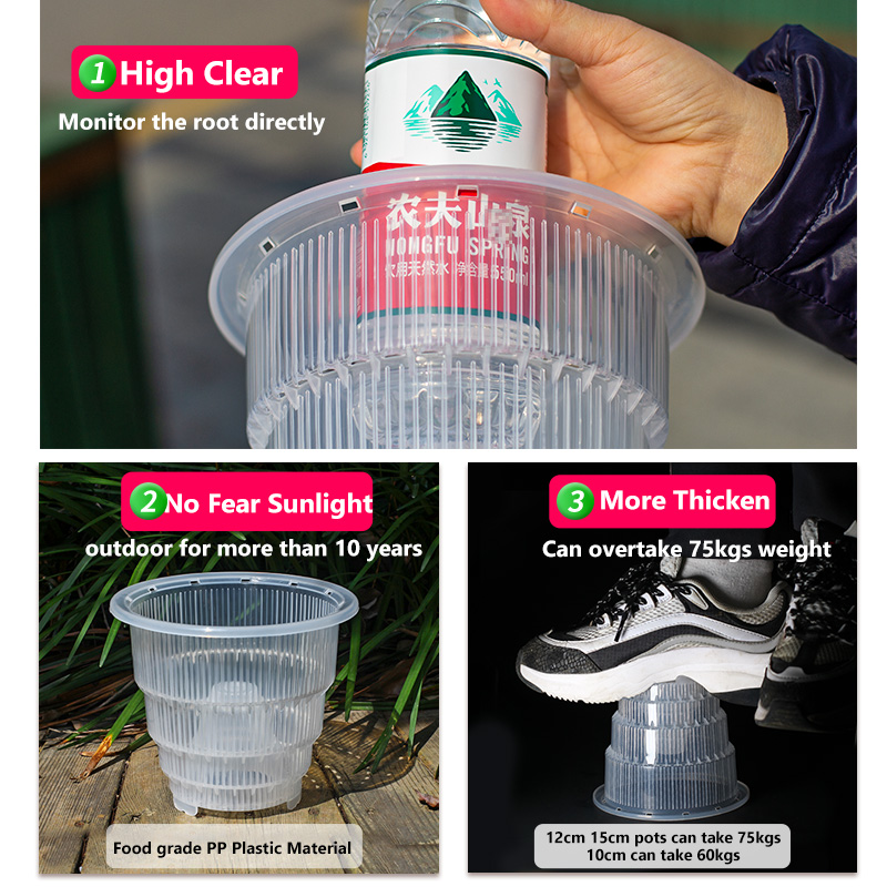 Meshpot klare Plastik Orchidee – Aloe Vera Pot Bewertung und Preis