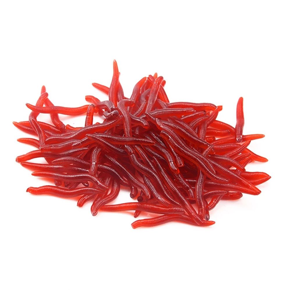 100 stücke/Flasche Realistisch – Aglaonema Red Bewertung und Preis