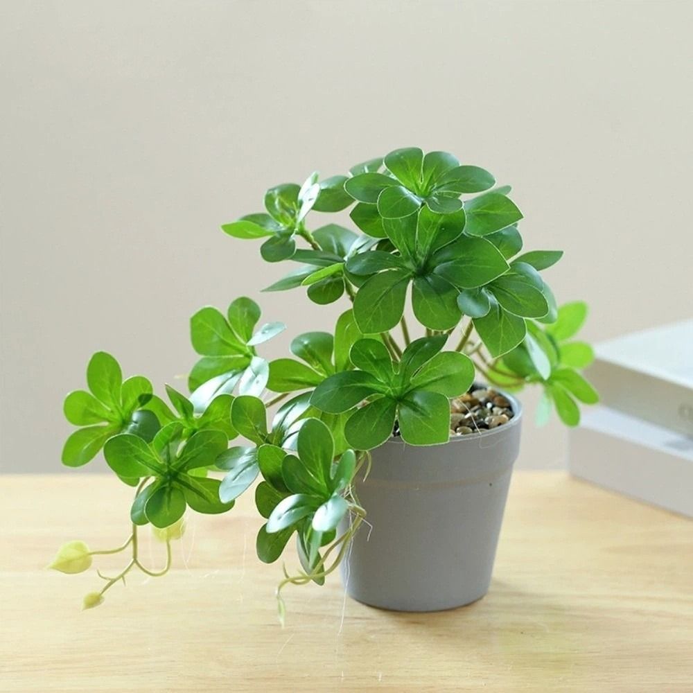 Künstlicher Bonsai, künstliche – Spider Plant Hanging Bewertung und Preis