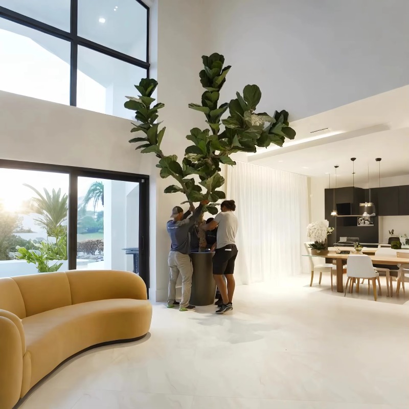 Künstliche Pflanzen, Innentopf – Ficus Lyrata Tree Bewertung und Preis