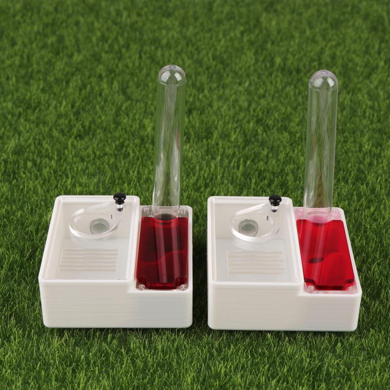 1Pcs Ant Farm Queen Ant's Nest – Begonia Rex Bewertung und Preis