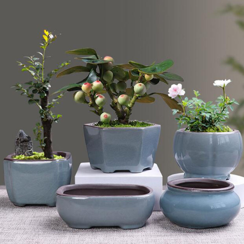Retro Keramik Blume Topf Sparg – Echeveria Succulent Bewertung und Preis