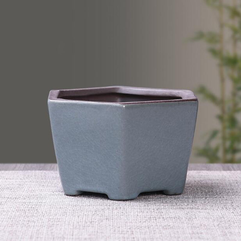 Retro Keramik Blume Topf Sparg – Echeveria Succulent Bewertung und Preis