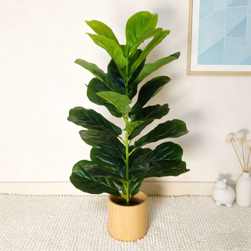 Grüner Künstlicher Ficus-Baum  – Ficus Lyrata Tree Bewertung und Preis