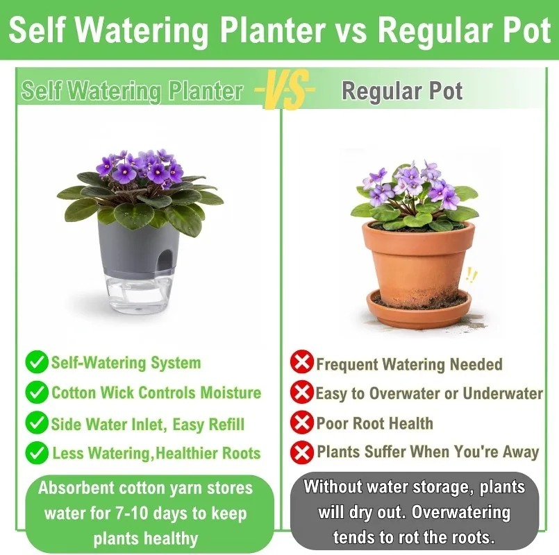 5/1 Stück Selbstbewässernder K – Aloe Vera Pot Bewertung und Preis