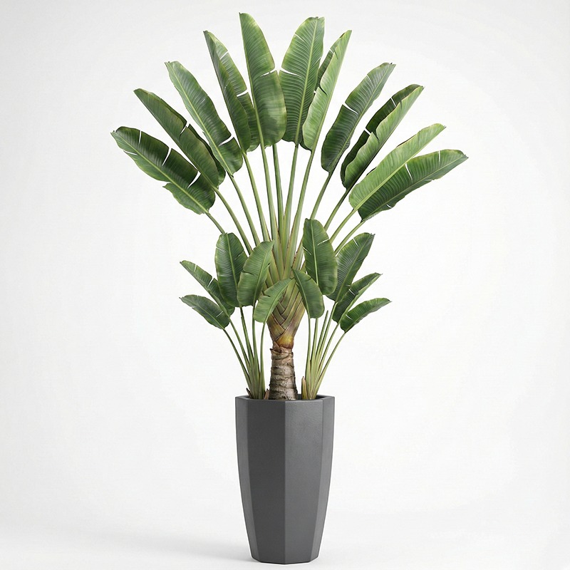 Hochrealistischer Kunststoff-G – Ficus Lyrata Tree Bewertung und Preis