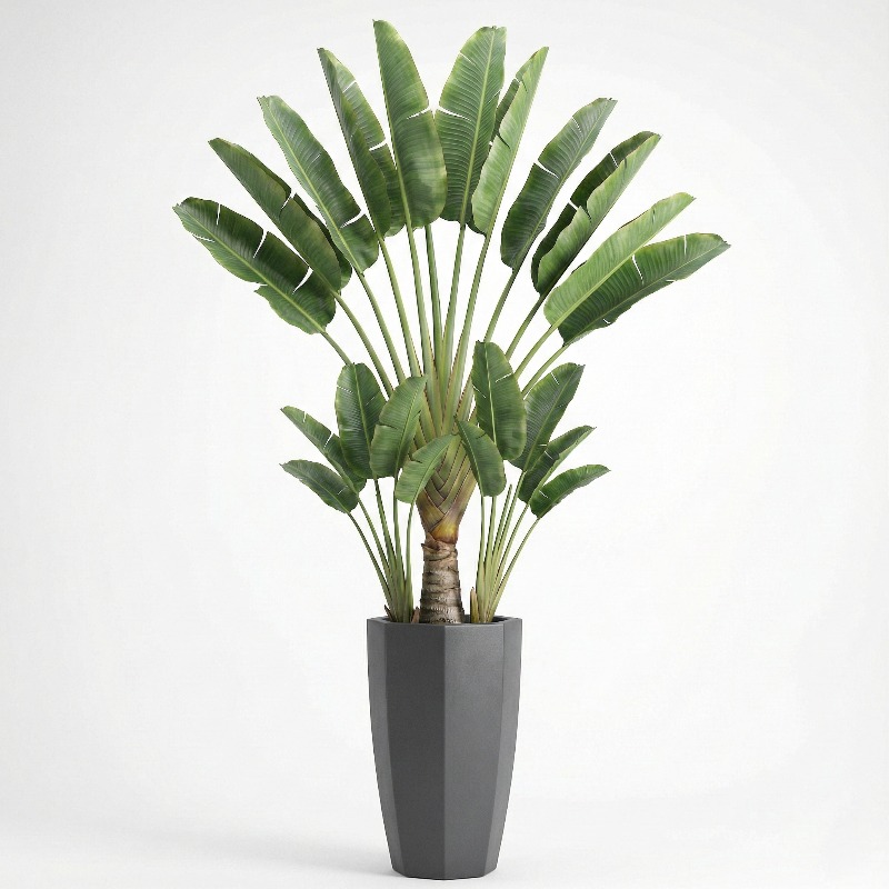 Hochrealistischer Kunststoff-G – Ficus Lyrata Tree Bewertung und Preis