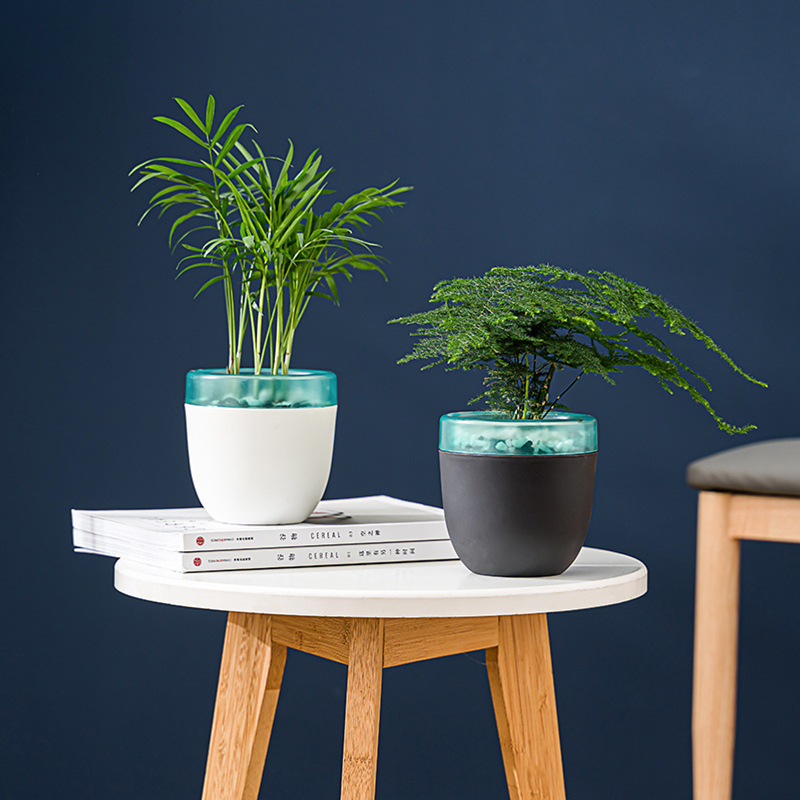 Automatischer Wasseraufnahme-L – Aloe Vera Pot Bewertung und Preis