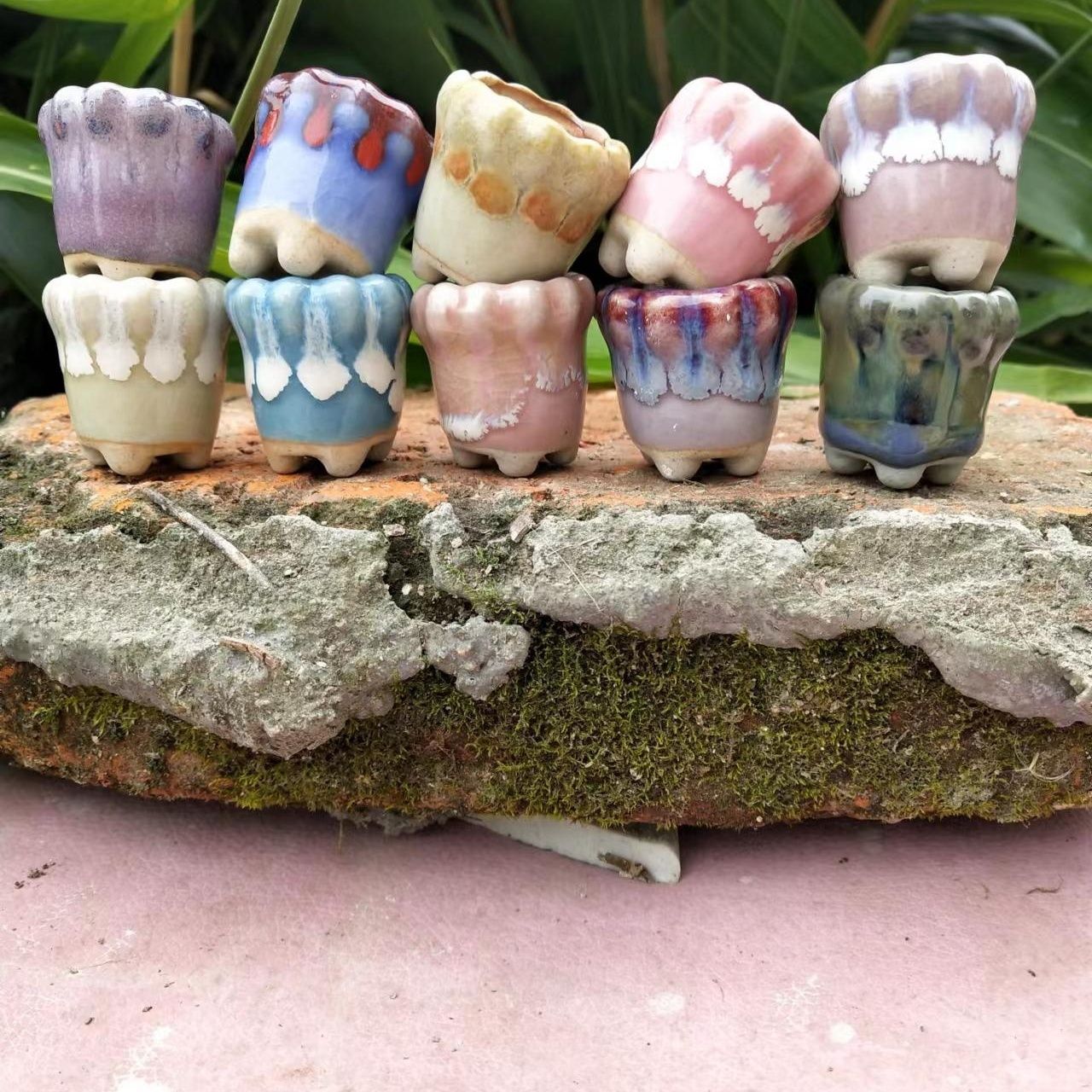 10 Stück Mini Keramik Fowerpot – Echeveria Succulent Bewertung und Preis