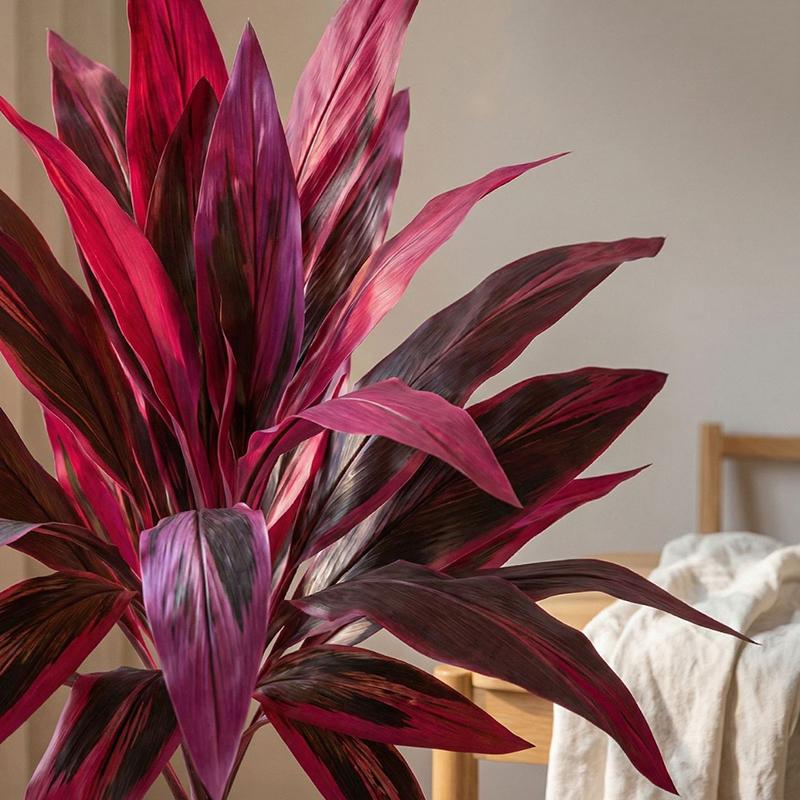 Großer Künstlicher Dracaena Ma – Dracaena Marginata Bewertung und Preis