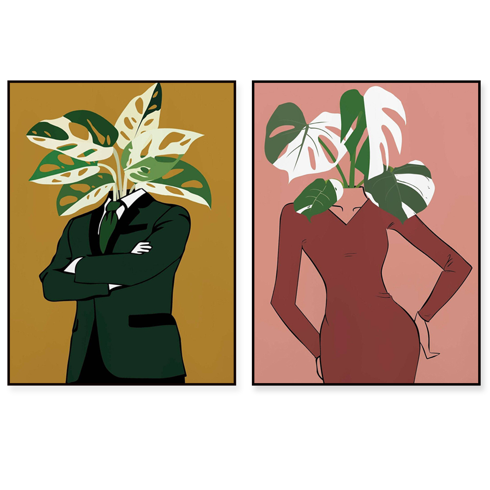 Monstera Albo in einem burgund – Monstera Adansonii Bewertung und Preis