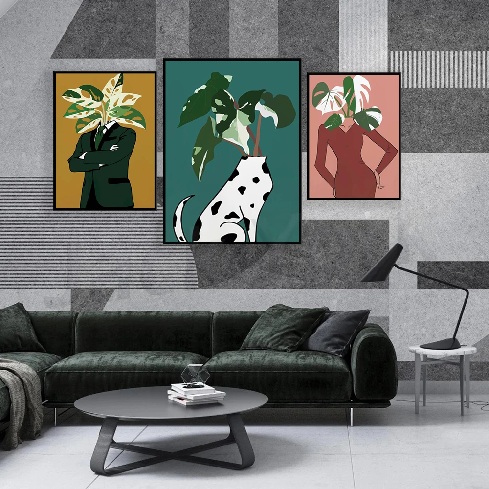 Monstera Albo in einem burgund – Monstera Adansonii Bewertung und Preis
