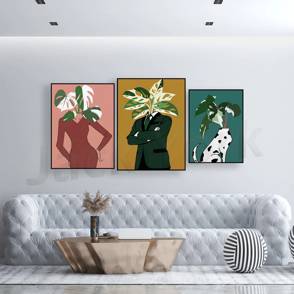Monstera Albo in einem burgund – Monstera Adansonii Bewertung und Preis