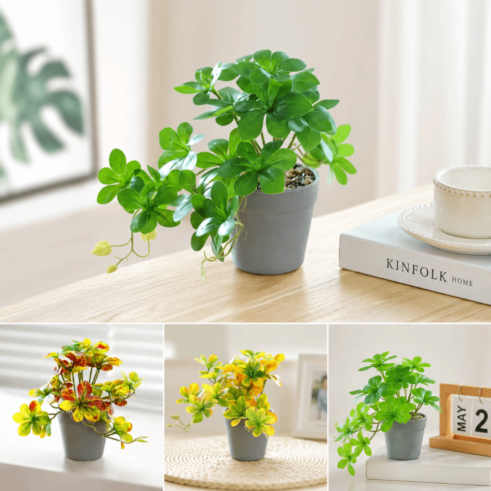 Künstlicher Bonsai Kunstpflanz – Spider Plant Hanging Bewertung und Preis
