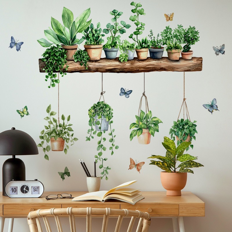 3D Wandtattoos mit grünen Pfla – Echeveria Succulent Bewertung und Preis