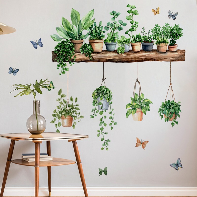 3D Wandtattoos mit grünen Pfla – Echeveria Succulent Bewertung und Preis