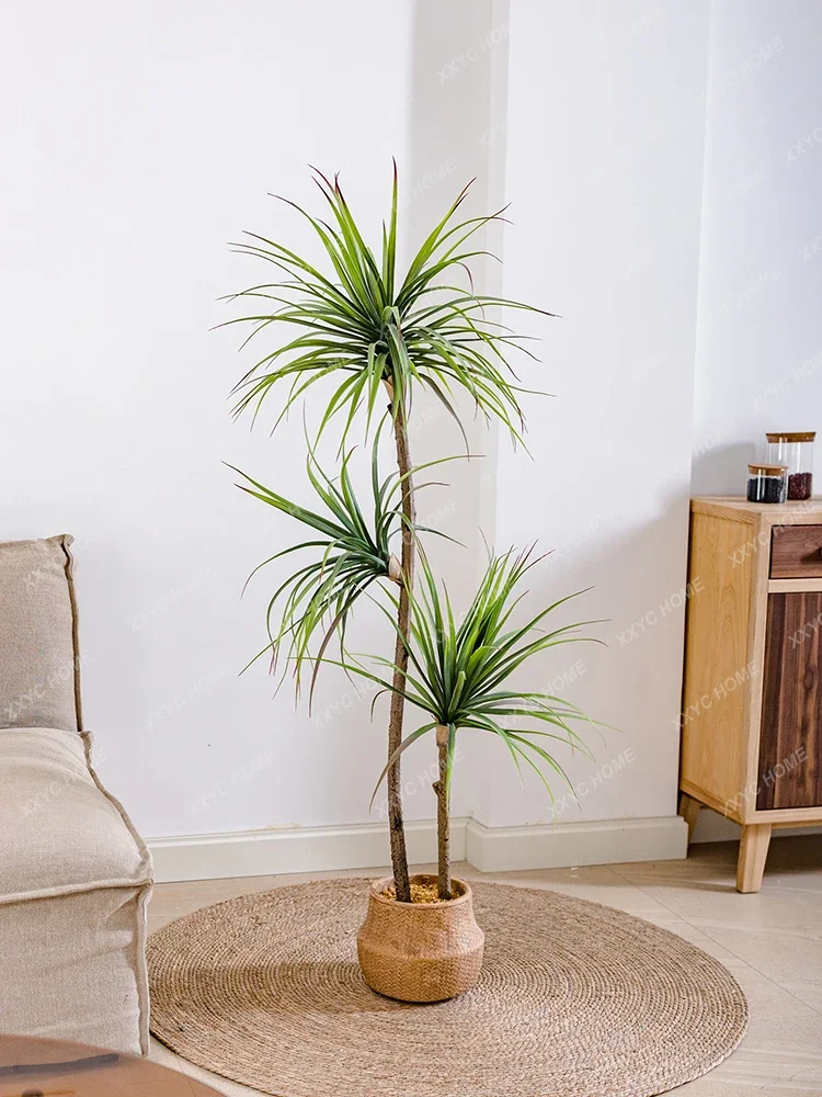 Licht Luxus Simulation Grüne P – Dracaena Marginata Bewertung und Preis