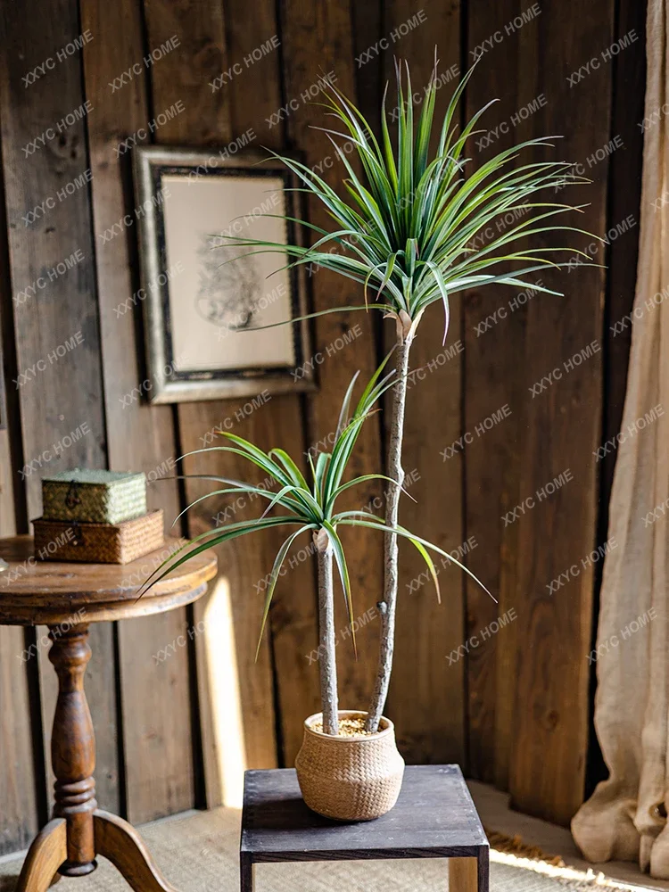 Licht Luxus Simulation Grüne P – Dracaena Marginata Bewertung und Preis