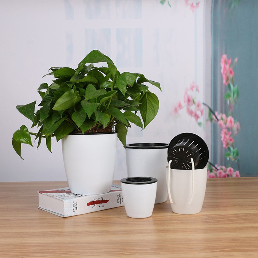 Automatische Bewässerung Blume – Aloe Vera Pot Bewertung und Preis