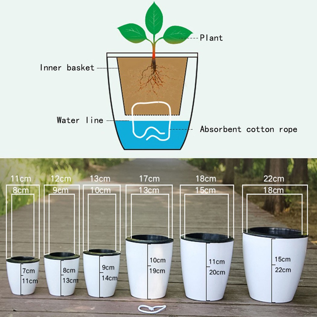 Automatische Bewässerung Blume – Aloe Vera Pot Bewertung und Preis