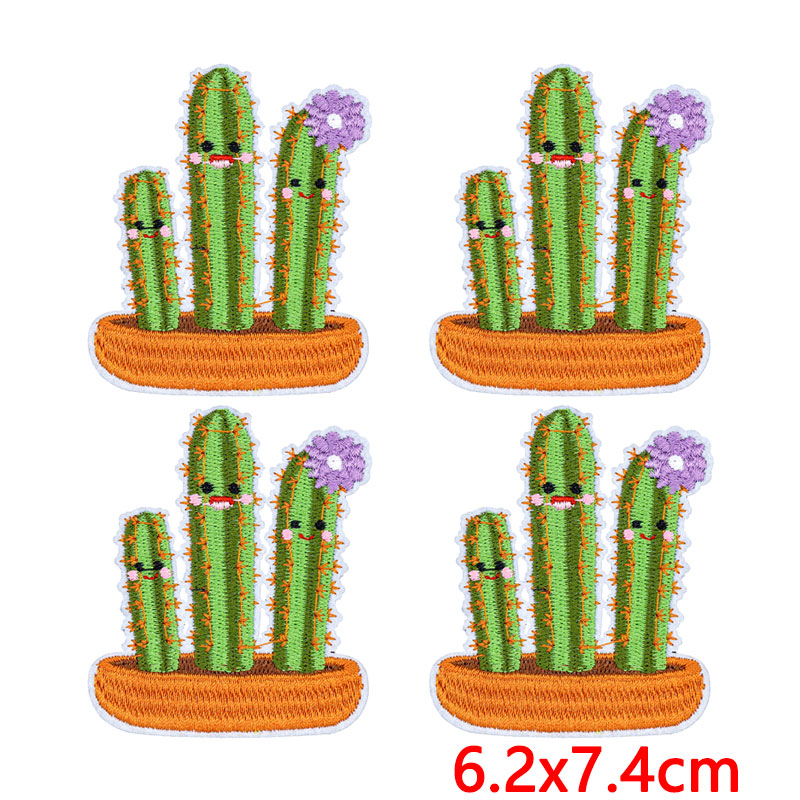 10 Stück/Set Western Desert Au – Aloe Vera Pot Bewertung und Preis
