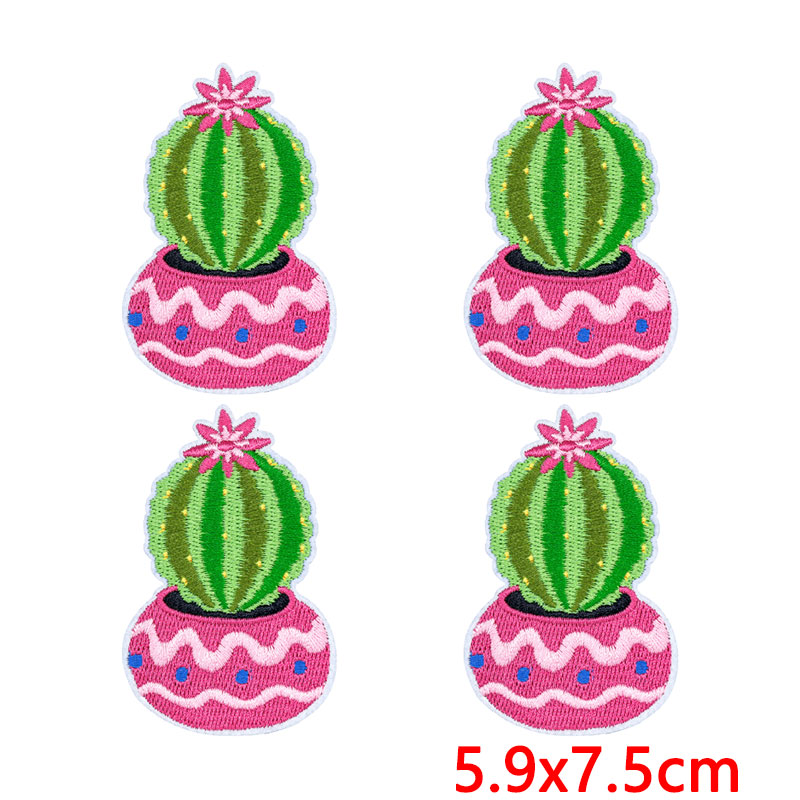 10 Stück/Set Western Desert Au – Aloe Vera Pot Bewertung und Preis