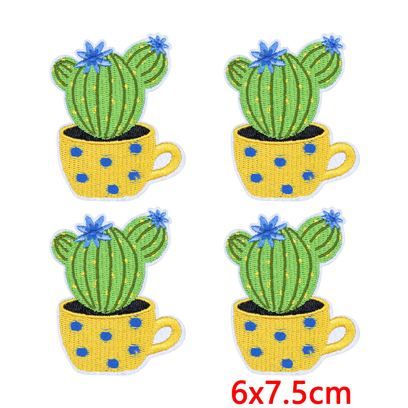 10 Stück/Set Western Desert Au – Aloe Vera Pot Bewertung und Preis